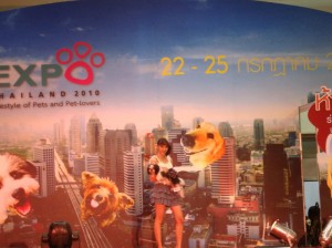 Pet expo fashion show