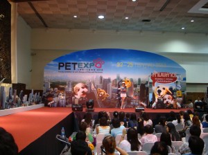 Fashion show