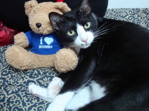 Panda loves Boonma